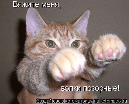 Котоматрица: Вяжите меня, волки позорные!