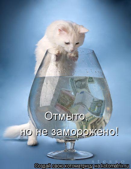 Котоматрица: Отмыто,  но не заморожено!