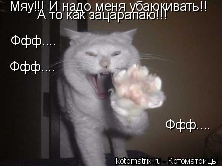 Котоматрица: Мяу!!! И надо меня убаюкивать!! А то как зацарапаю!!! Ффф.... Ффф.... Ффф....