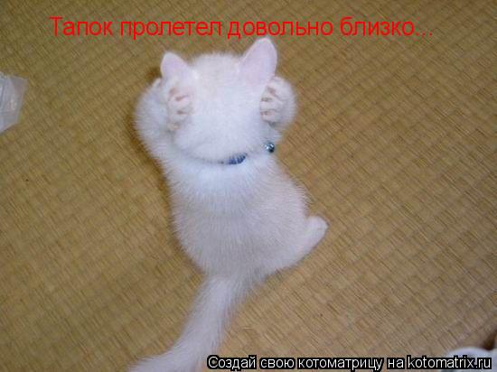 Котоматрица: Тапок пролетел довольно близко...