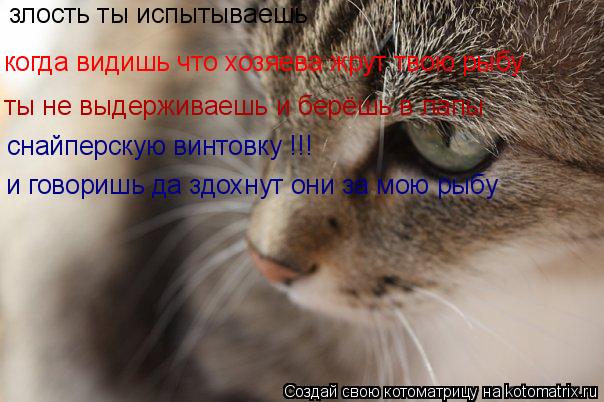 Котоматрица: злость ты испытываешь  когда видишь что хозяева жрут твою рыбу ты не выдерживаешь и берёшь в лапы  снайперскую винтовку !!! и говоришь да здо