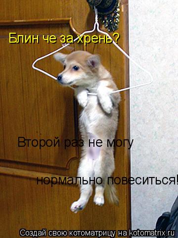 Котоматрица: Блин че за хрень? Второй раз не могу  нормально повеситься!