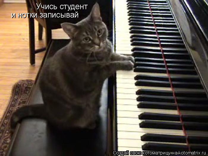 Котоматрица: Учись студент  и нотки записывай