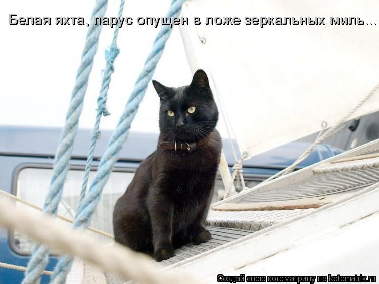 Котоматрица: Белая яхта, парус опущен в ложе зеркальных миль...