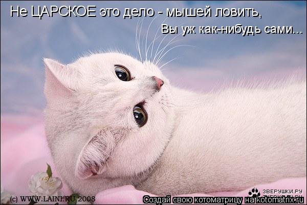 Котоматрица: Не ЦАРСКОЕ это дело - мышей ловить, Вы уж как-нибудь сами...