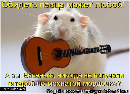 Обидеть певца может любой! А вы, Васенька, никогда не получали гитарой по мохнатой мордочке?... Котоматрица: Обидеть певца может любой! А вы, Васенька, никогда не получали гитарой по мохнатой мордочке?