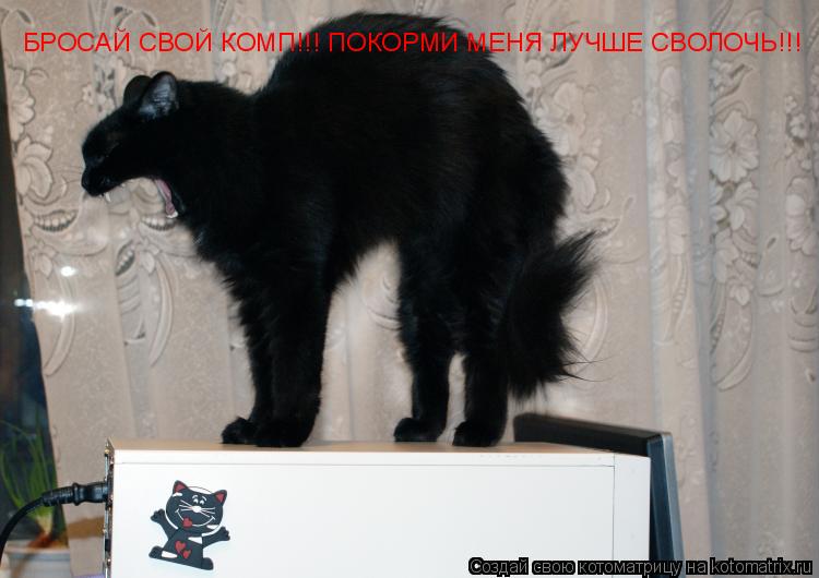 Котоматрица: БРОСАЙ СВОЙ КОМП!!! ПОКОРМИ МЕНЯ ЛУЧШЕ СВОЛОЧЬ!!!