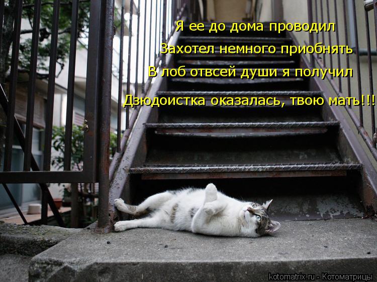 Я ее до дома проводил Захотел немного приобнять Дзюдоистка оказалась, твою мать!!! В лоб отвсей души ... Котоматрица: Я ее до дома проводил Захотел немного приобнять Дзюдоистка оказалась, твою мать!!! В лоб отвсей души я получил