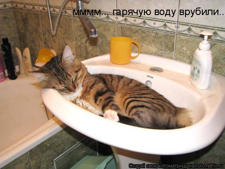 Котоматрица: мммм... гарячую воду врубили...