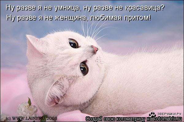 Котоматрица: Ну разве я не умница, ну разве не красавица? Ну разве я не женщина, любимая притом!