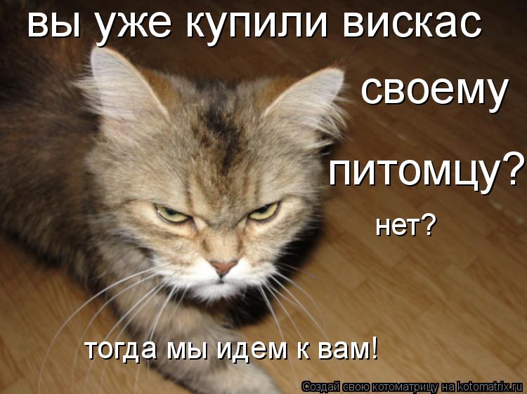 Котоматрица: вы уже купили вискас  своему питомцу? нет? тогда мы идем к вам!