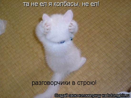 Котоматрица: та не ел я колбасы, не ел! разговорчики в строю!