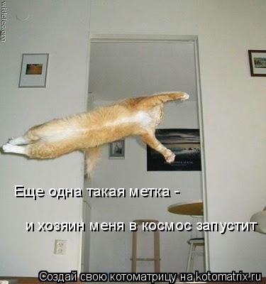 Котоматрица: Еще одна такая метка -  и хозяин меня в космос запустит