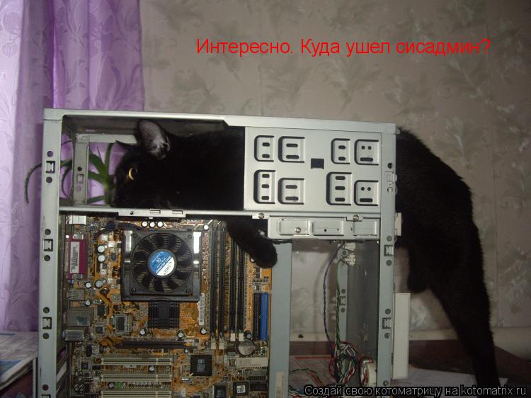 Котоматрица: Интересно. Куда ушел сисадмин?