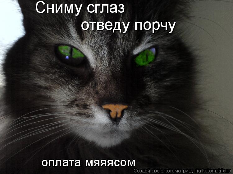 Котоматрица: Сниму сглаз отведу порчу оплата мяяясом