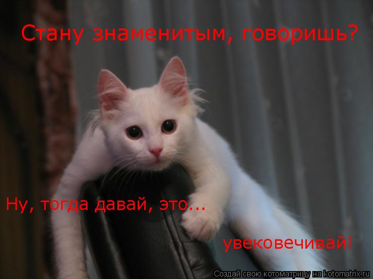 Котоматрица: увековечивай! Стану знаменитым, говоришь? Ну, тогда давай, это...