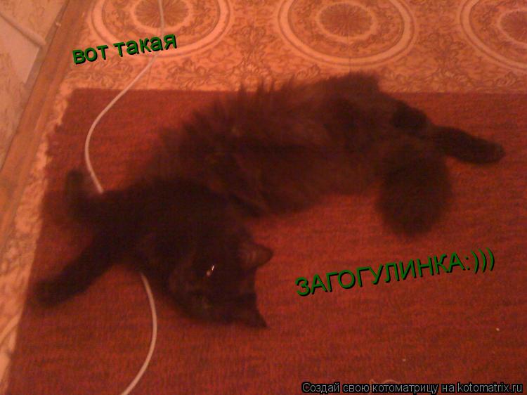 Котоматрица: вот такая ЗАГОГУЛИНКА:)))