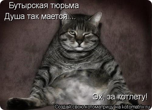 Котоматрица: Бутырская тюрьма Душа так мается.... Эх, за котлету!
