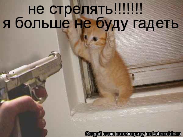 Котоматрица: не стрелять!!!!!!! я больше не буду гадеть