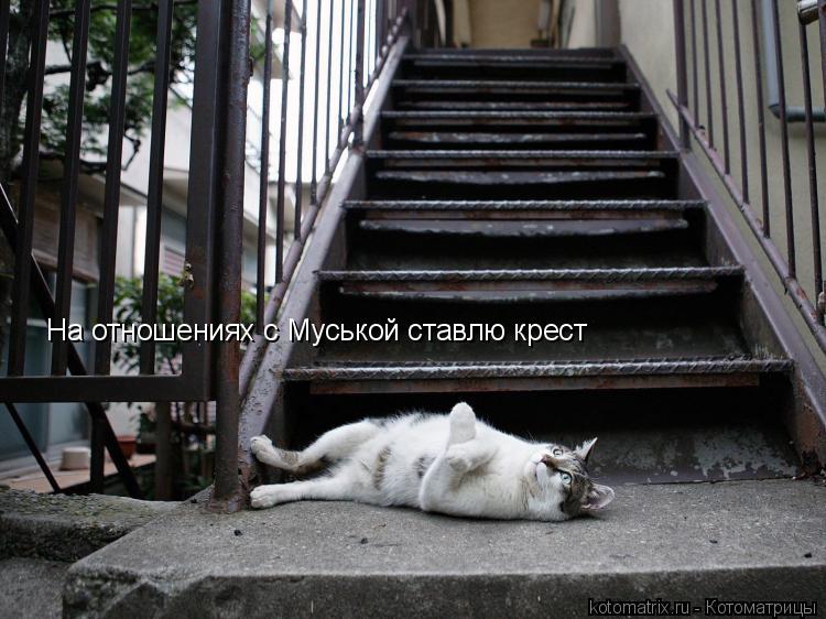 На отношениях с Муськой ставлю крест... Котоматрица: На отношениях с Муськой ставлю крест