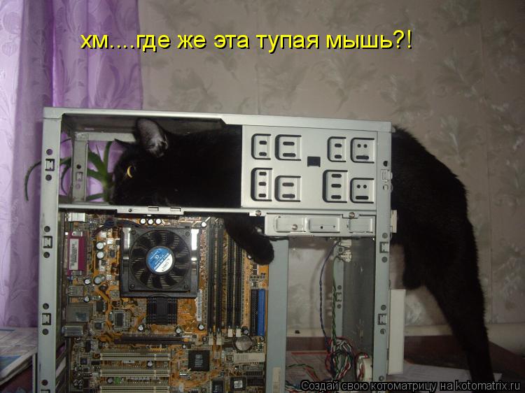 Котоматрица: хм....где же эта тупая мышь?!