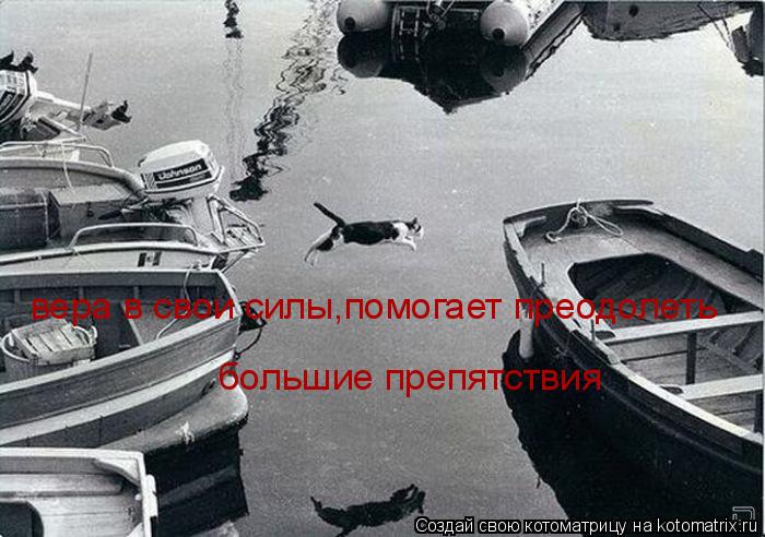 Котоматрица: вера в свои силы,помогает преодолеть большие препятствия