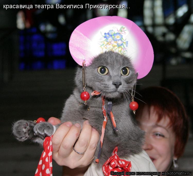 Котоматрица: красавица театра Василиса Прикотярская...