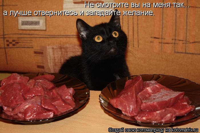 Котоматрица: Не смотрите вы на меня так... а лучше отвернитесь и загадайте желание.