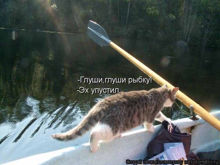 Котоматрица: -Глуши,глуши рыбку! -Эх упустил.