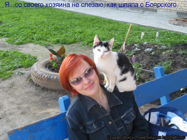 Котоматрица: Я...со своего хозяина не слезаю, как шляпа с Боярского.