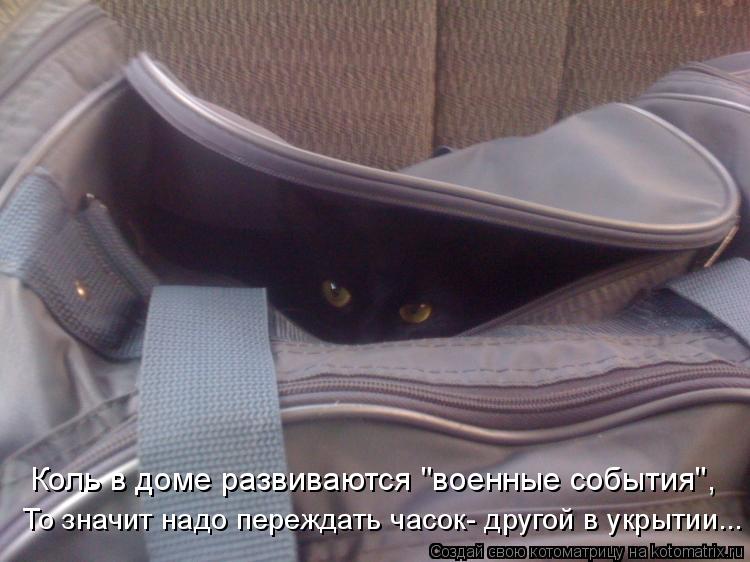 Котоматрица: Коль в доме развиваются "военные события", То значит надо переждать часок- другой в укрытии...