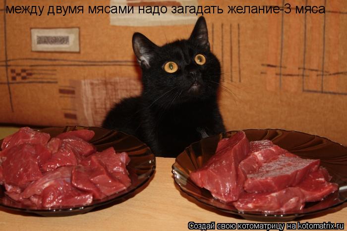 Котоматрица: между двумя мясами надо загадать желание-3 мяса