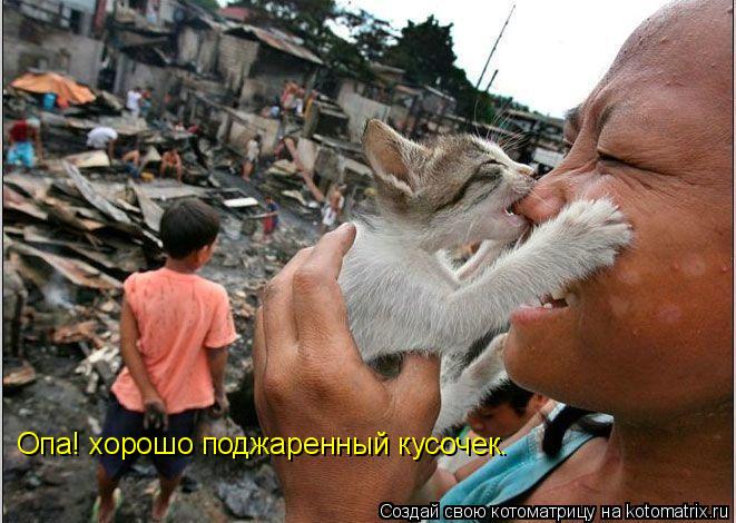 Котоматрица: Опа! хорошо поджаренный кусочек.