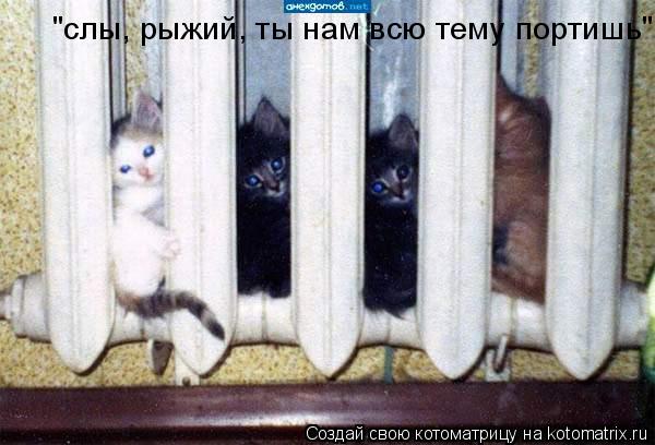 Котоматрица: "слы, рыжий, ты нам всю тему портишь"
