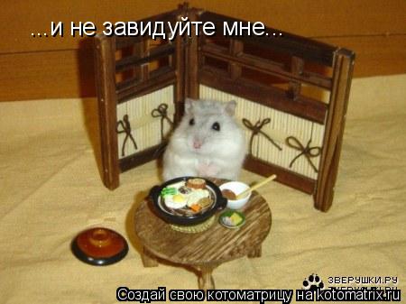Котоматрица: ...и не завидуйте мне...