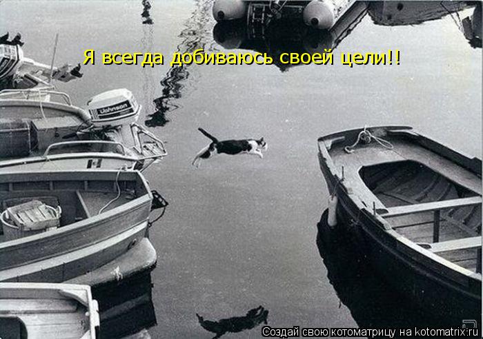 Котоматрица: Я всегда добиваюсь своей цели!!