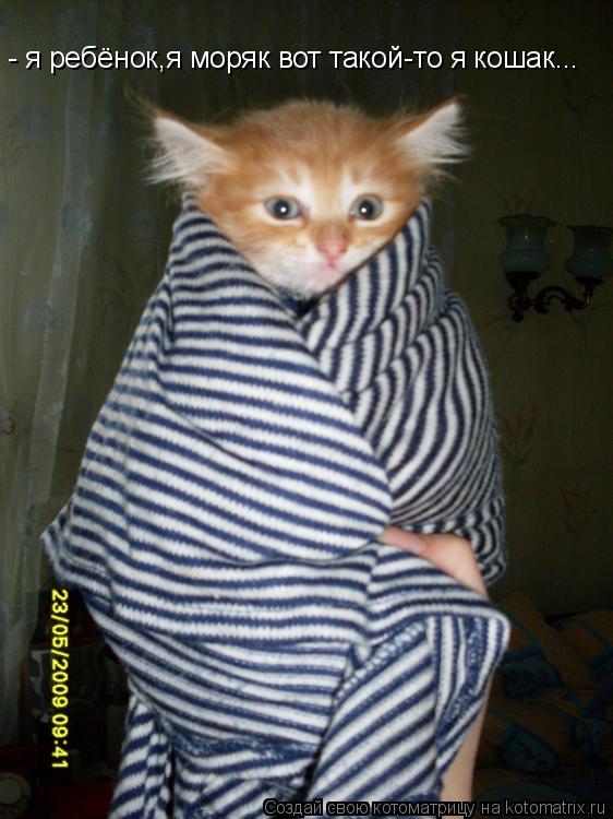 Котоматрица: - я ребёнок,я моряк вот такой-то я кошак...