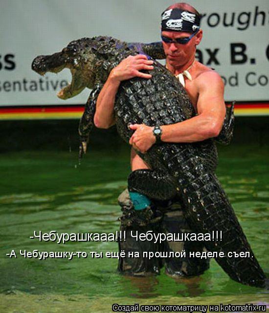 Котоматрица: -Чебурашкааа!!! Чебурашкааа!!! -А Чебурашку-то ты ещё на прошлой неделе съел.