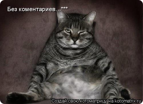 Котоматрица: Без коментариев...***