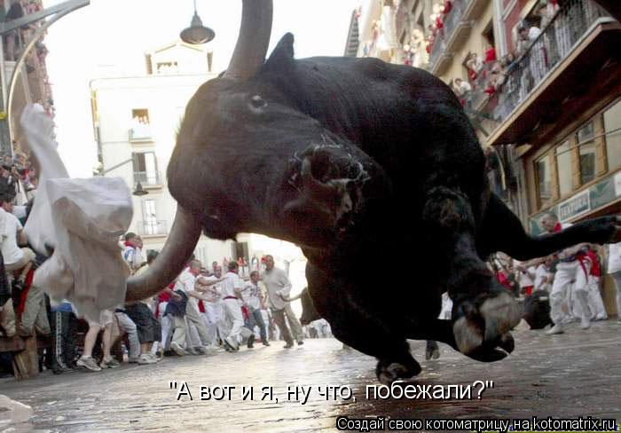Котоматрица: "А вот и я, ну что, побежали?"