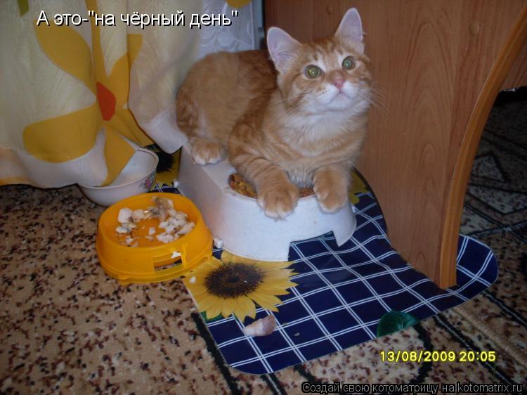 Котоматрица: А это-"на чёрный день"