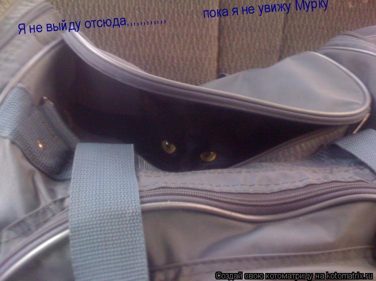 Котоматрица: Я не выйду отсюда,,,,,,,,,,,,пока я не увижу Мурку Я не выйду отсюда,,,,,,,,,,,,           пока я не увижу Мурку