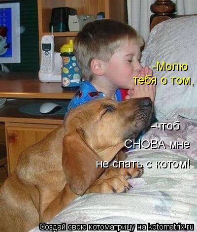 Котоматрица: -Молю  тебя о том, -чтоб СНОВА мне не спать с котом!
