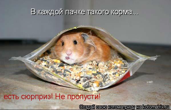 Котоматрица: В каждой пачке такого корма... есть сюрприз! Не пропусти!
