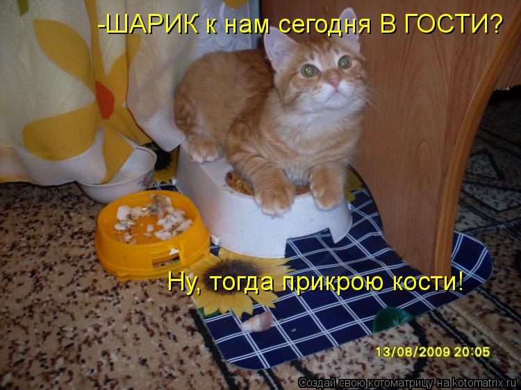 Котоматрица: -ШАРИК к нам сегодня В ГОСТИ? Ну, тогда прикрою кости!