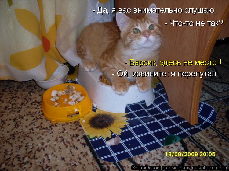 Котоматрица: - Да, я вас внимательно слушаю. - Что-то не так? - Барсик, здесь не место!! - Ой, извините: я перепутал...