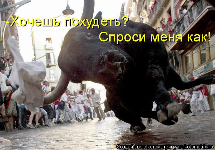 Котоматрица: -Хочешь похудеть? Спроси меня как!