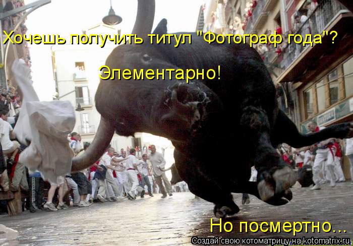 Хочешь получить титул "Фотограф года"? Элементарно! Но посмертно...... Котоматрица: Хочешь получить титул "Фотограф года"? Элементарно! Но посмертно...