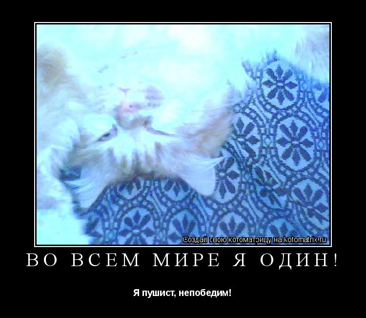 Котоматрица: Во всём мире я один! Я пушист, непобедим!