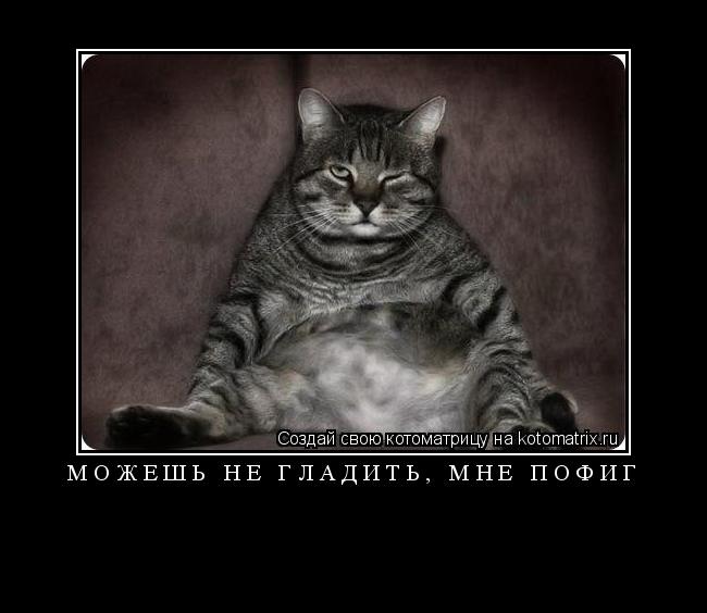 Котоматрица: Можешь не гладить, мне пофиг 